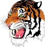 Image de tigre au format PNG : niveau de qualité optimal