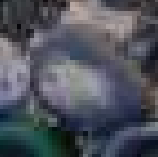Close-up of JPEG is more blurred