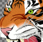 Close-up of tiger with 128 colours