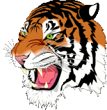 Tiger with 128 colours