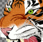 Close-up of tiger with 32 colours