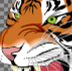 Close-up of original image of tiger